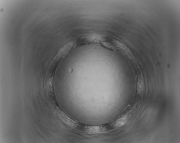 X0000062930473200601181314