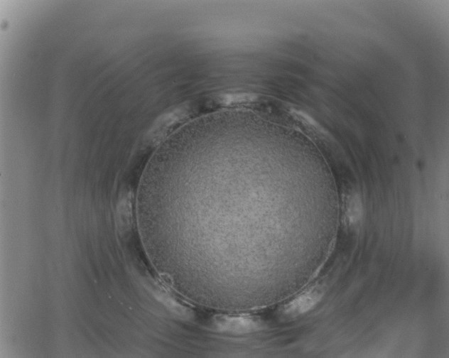 X0000062930475200601181314