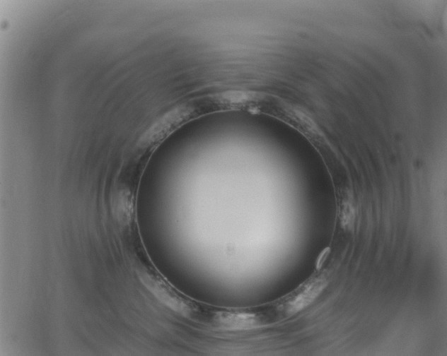 X0000062930476200601181314