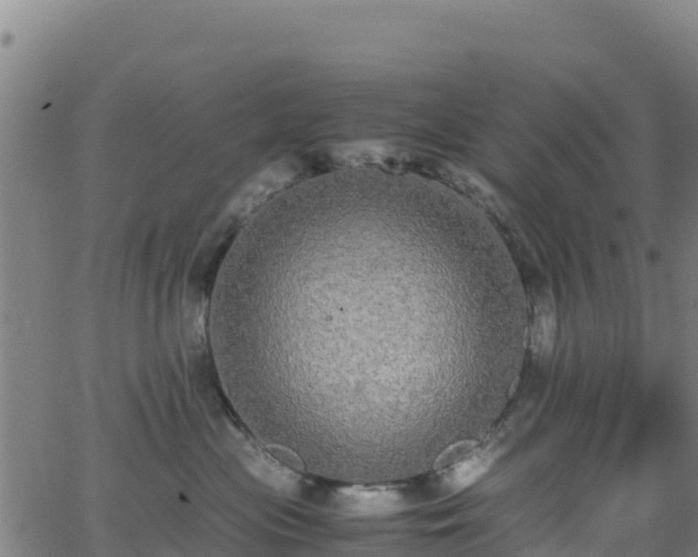 X0000062930477200601181314