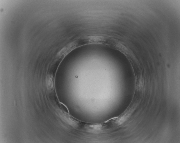 X0000062930478200601181314