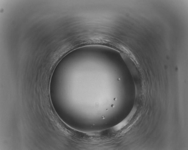 X0000062930481200601181313