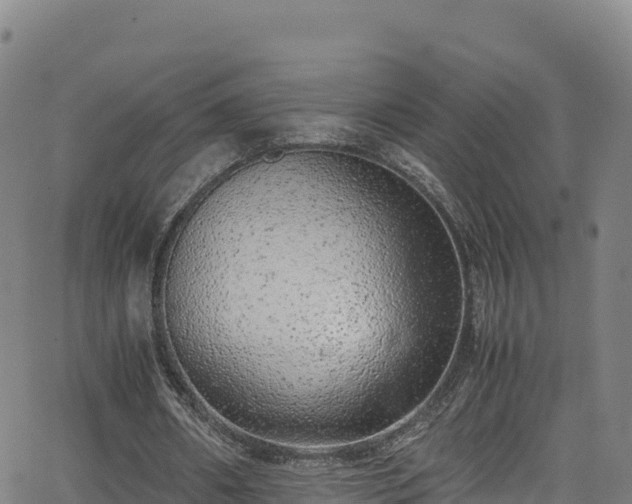 X0000062930482200601181313