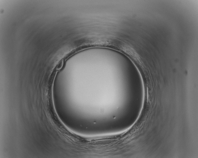 X0000062930483200601181313