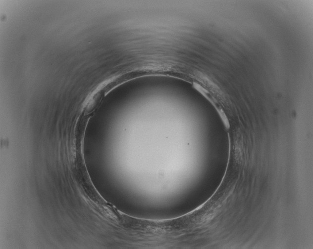 X0000062930484200601181313