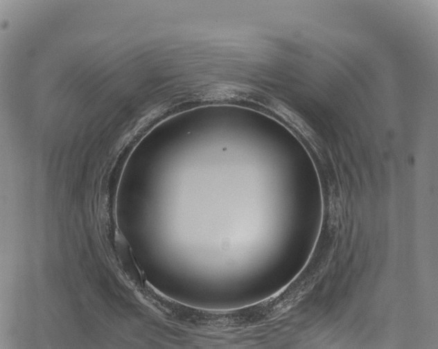 X0000062930485200601181313