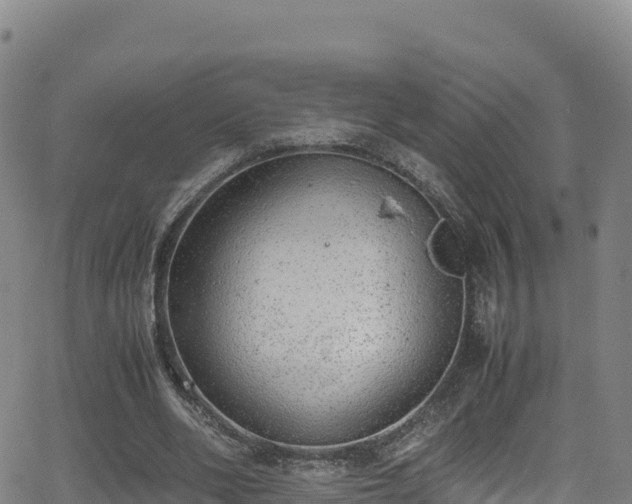 X0000062930486200601181313