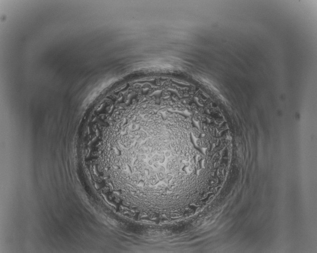 X0000062930487200601181313