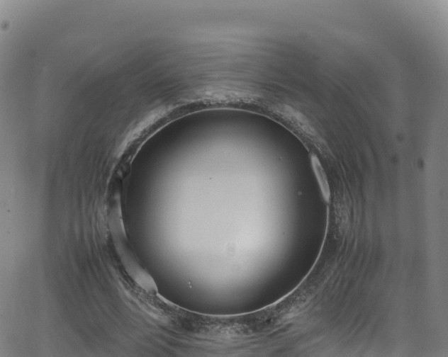 X0000062930488200601181313