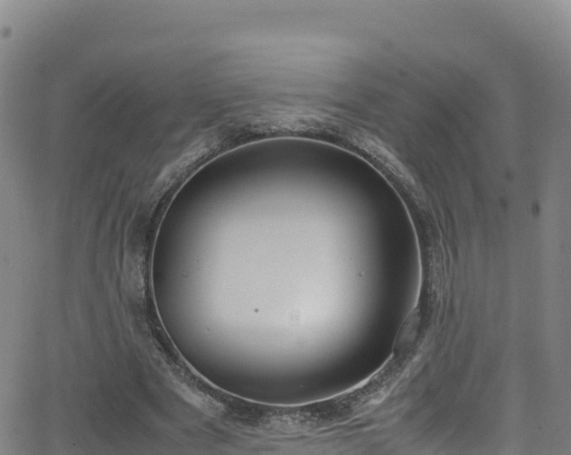 X0000062930489200601181313