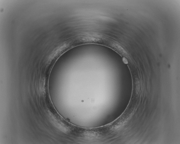 X0000062930490200601181313