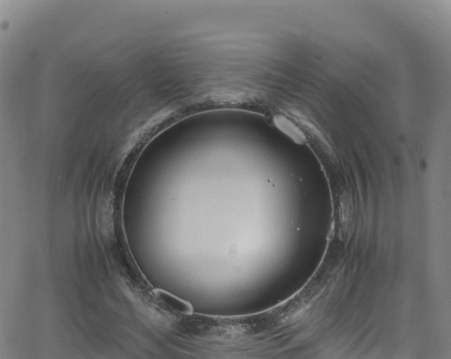 X0000062930492200601181313