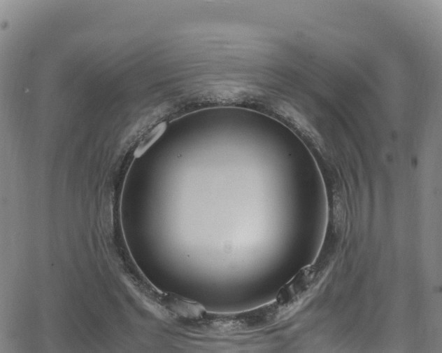 X0000062930493200601181313