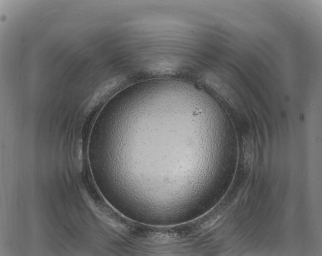 X0000062930494200601181313