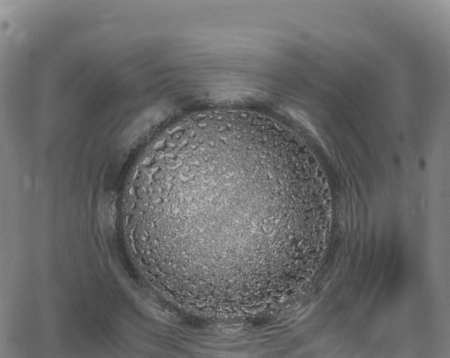 X0000062930495200601181313