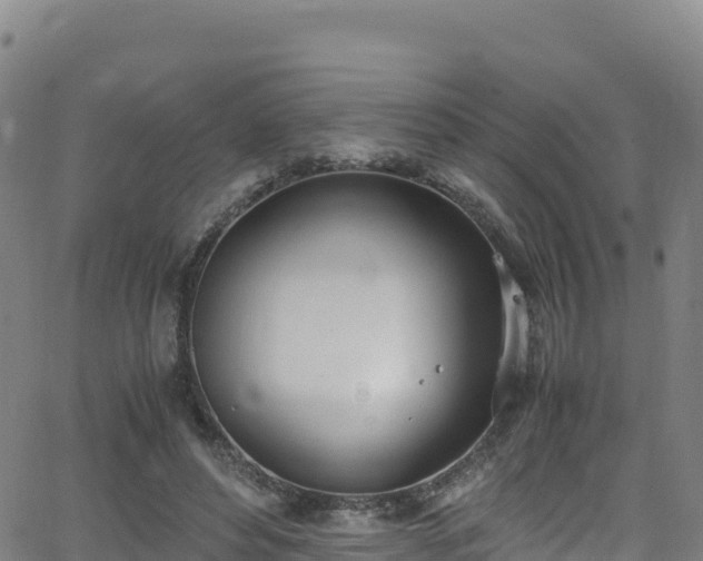 X0000062930496200601181313