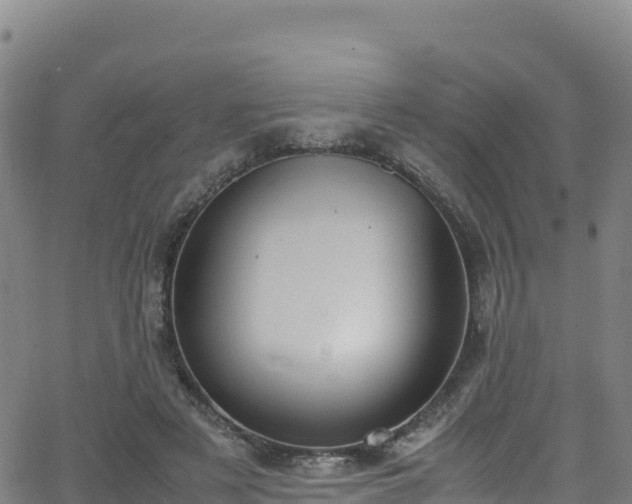 X0000062930497200601181313