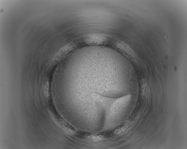 X0000062930498200601181313