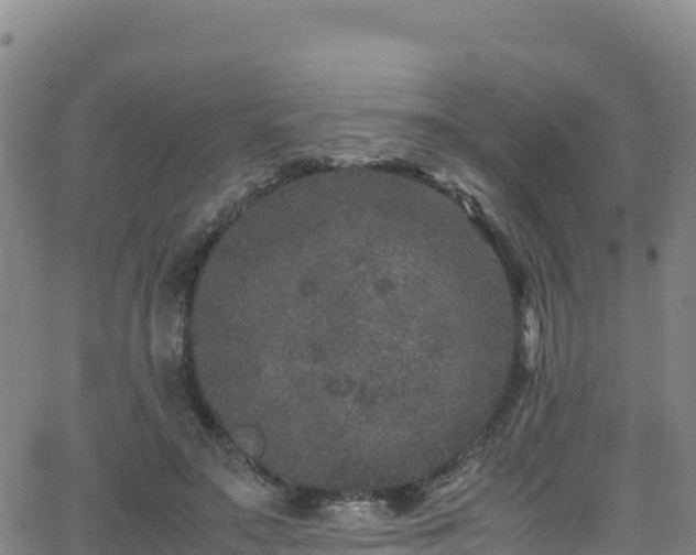 X0000062930499200601181313