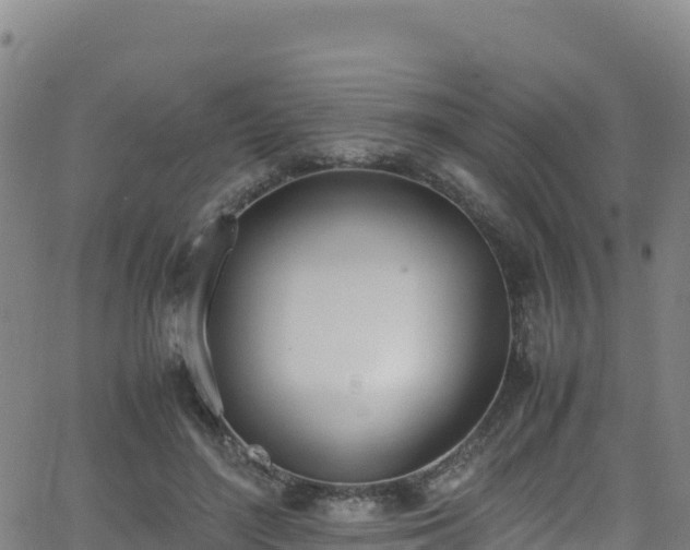 X0000062930500200601181313