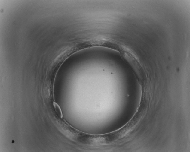 X0000062930501200601181313