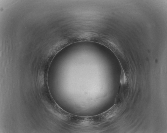 X0000062930504200601181313