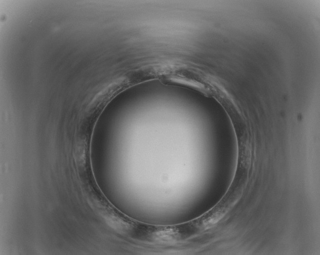 X0000062930505200601181313