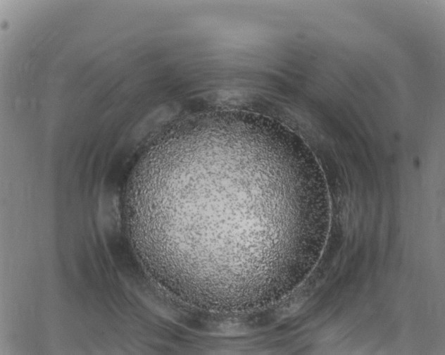 X0000062930506200601181313