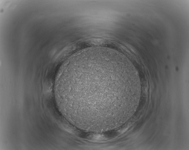 X0000062930507200601181313