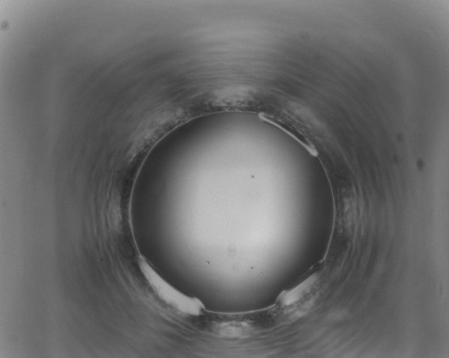 X0000062930508200601181313