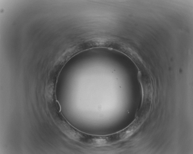 X0000062930509200601181313