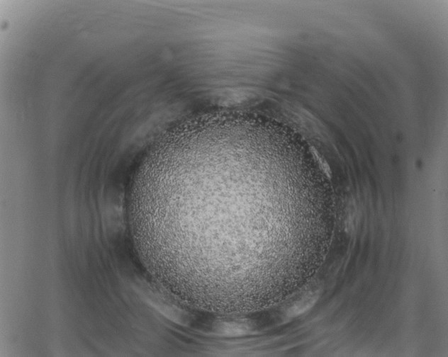 X0000062930510200601181313