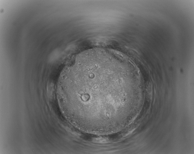 X0000062930511200601181313