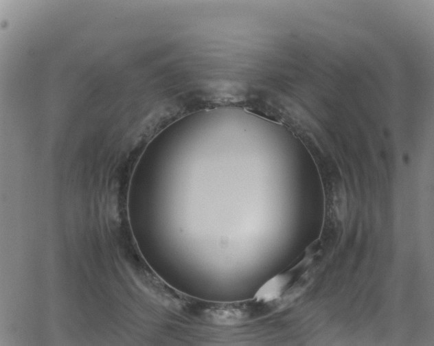 X0000062930512200601181313