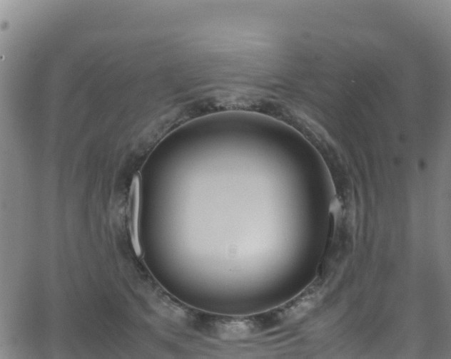 X0000062930513200601181313