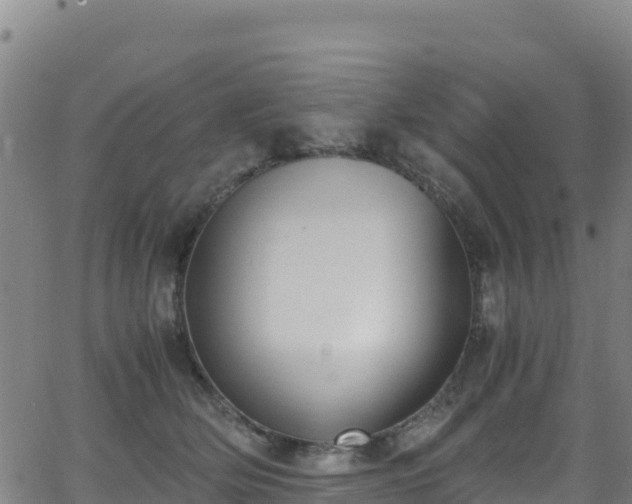 X0000062930514200601181313