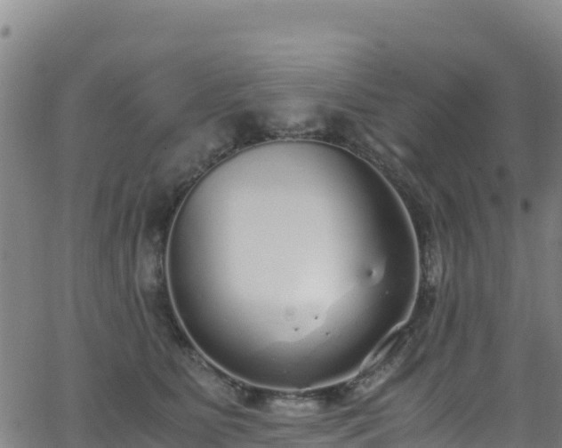 X0000062930515200601181313