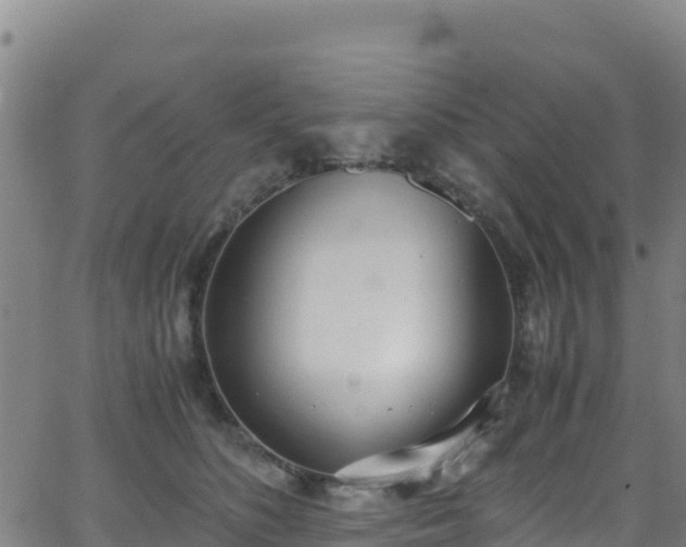 X0000062930516200601181313