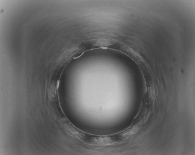 X0000062930517200601181313