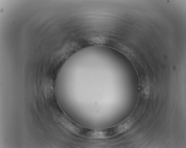 X0000062930518200601181313