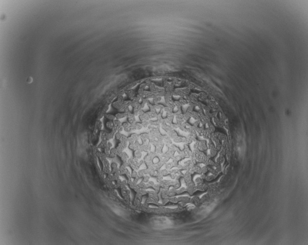 X0000062930519200601181313