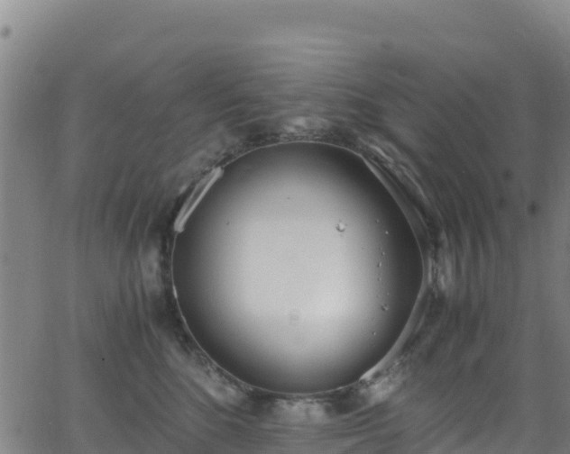 X0000062930520200601181313