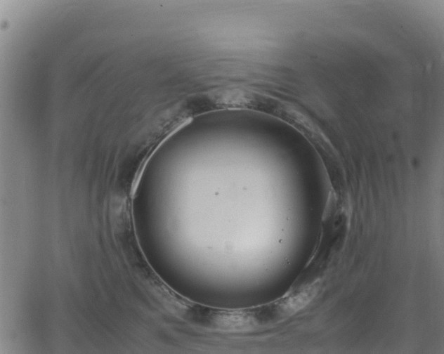 X0000062930521200601181313