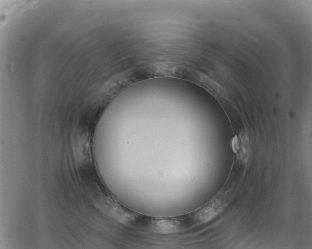 X0000062930522200601181313