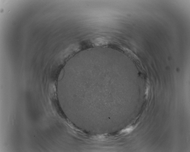 X0000062930523200601181313