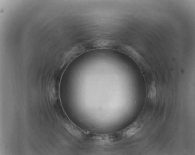 X0000062930524200601181313