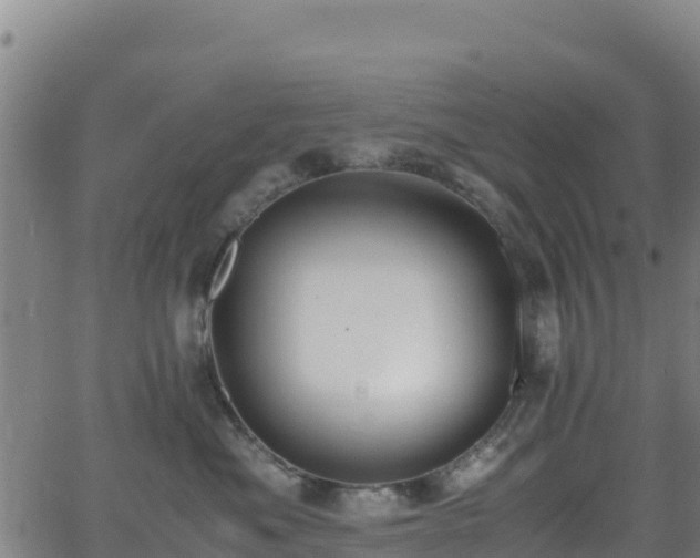 X0000062930525200601181313