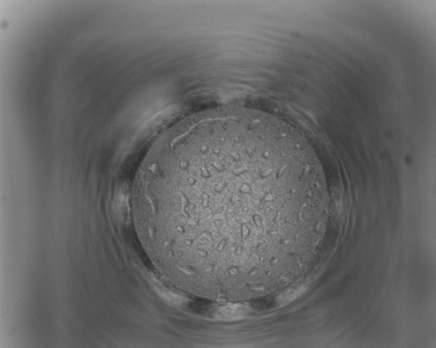 X0000062930527200601181313