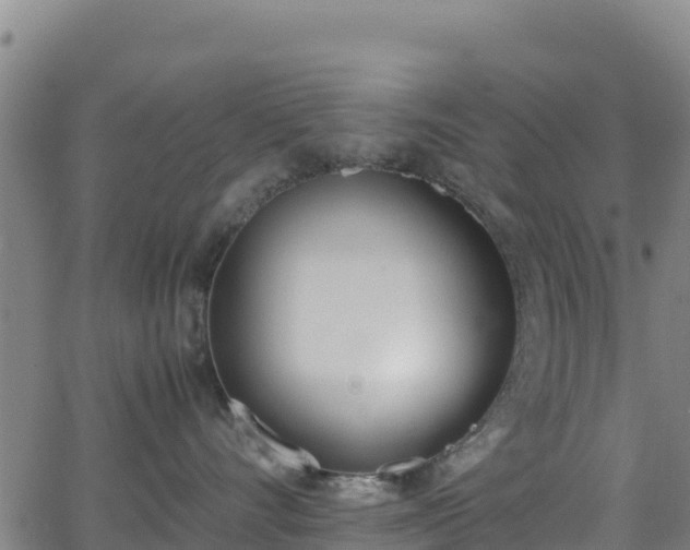 X0000062930528200601181313