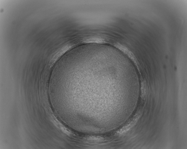 X0000062930529200601181312